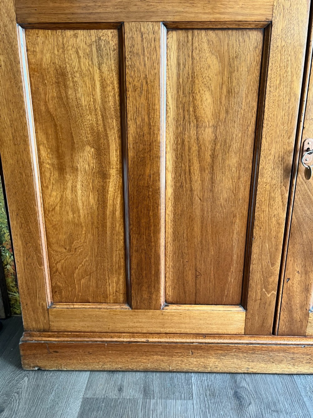 Mahogany Bookcase. View VII