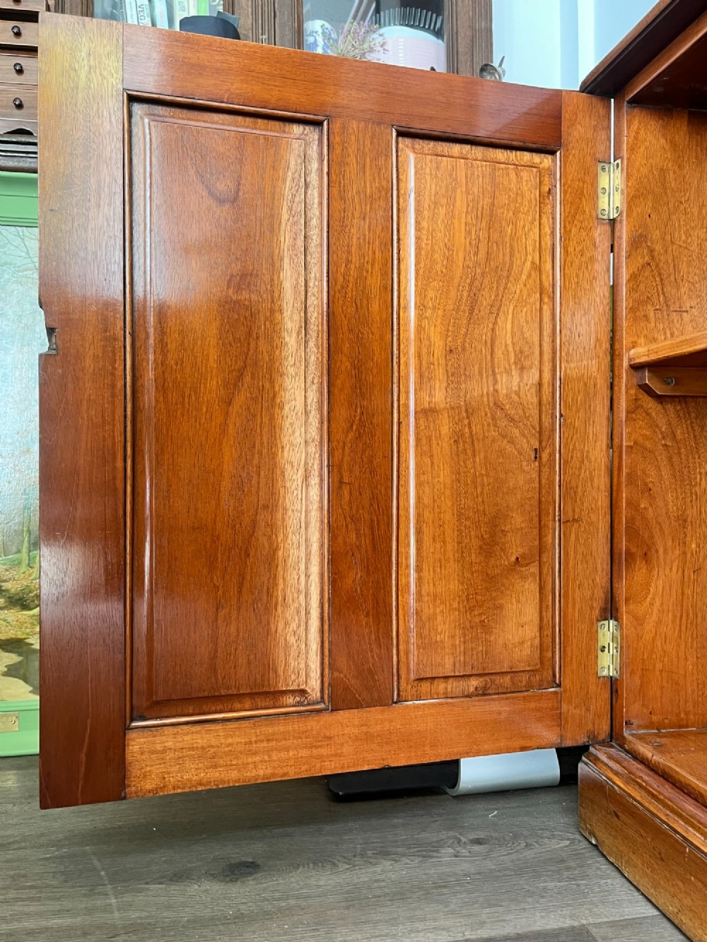 Mahogany Bookcase. View VIII