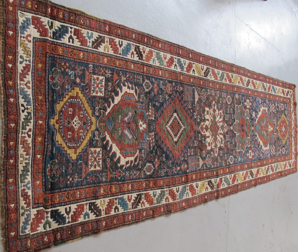 Superb North-West Persian Runner
