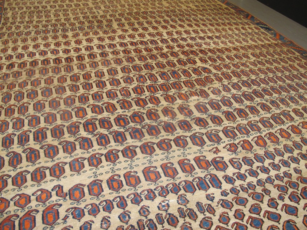 Bakshaish Carpet, North-West Persia, 4.15m x 3.30m View VIII
