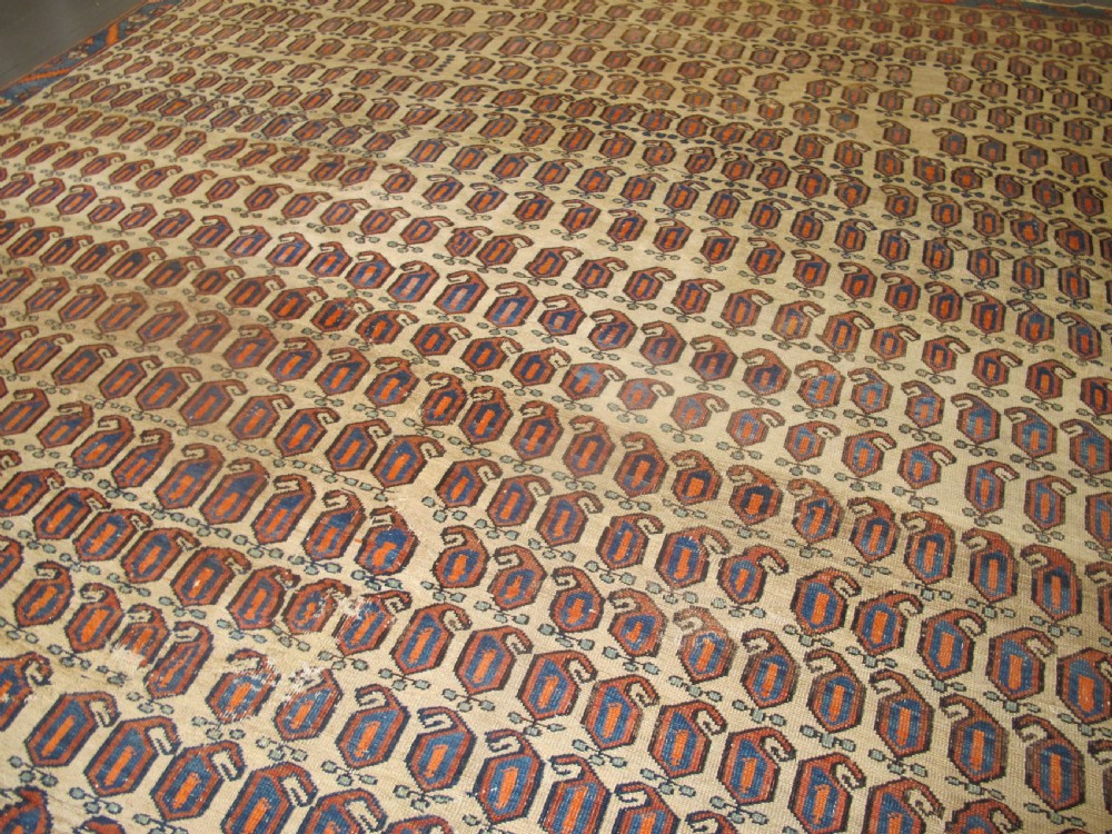 Bakshaish Carpet, North-West Persia, 4.15m x 3.30m View IX