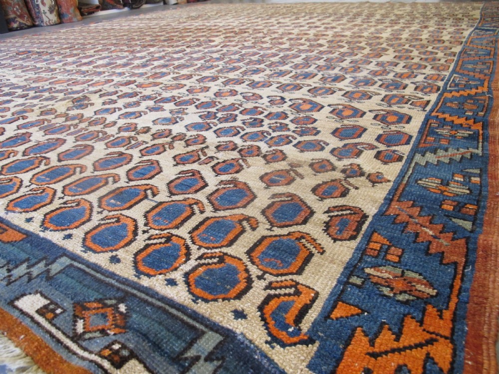 Bakshaish Carpet, North-West Persia, 4.15m x 3.30m View X