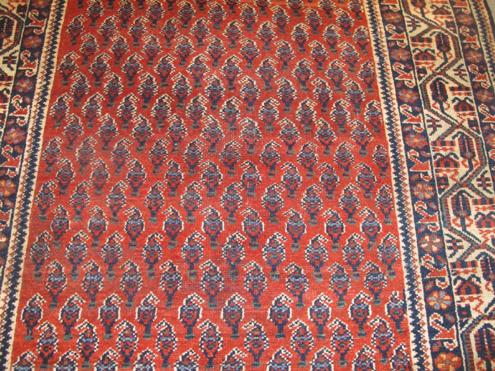 A rectangular hand-knotted wool rug featuring repeating boteh motifs on a red field enclosed by multi-layered cream and navy geometric borders. View III
