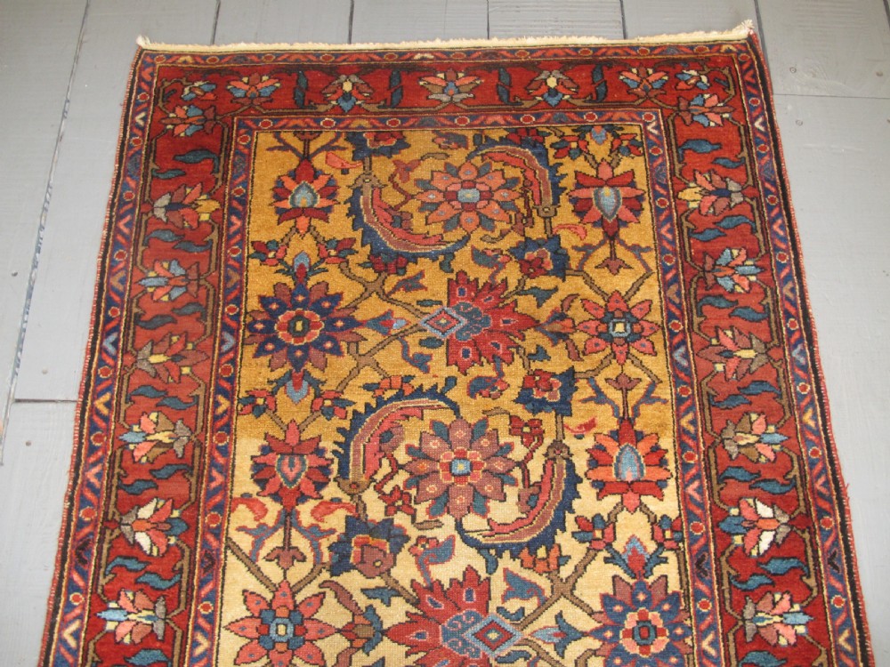 Rare Persian Village Rug with Saffron Yellow Field,  Circa 1890, 1.60m x 1.17m View VIII