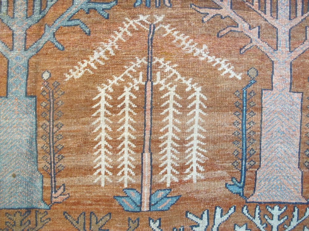 Bakshaish 'Tree' Carpet, North-West Persia, Circa 1870, 3.26m x 2.62m View V