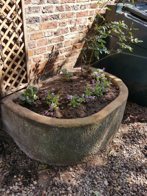 EARLY VICTORIAN SANDSTONE D SHAPE TROUGH - ADDITIONAL PHOTO 3