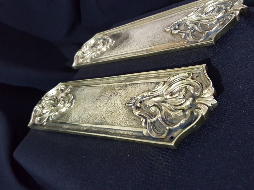 Pair of Victorian Brass Finger Plates View VII