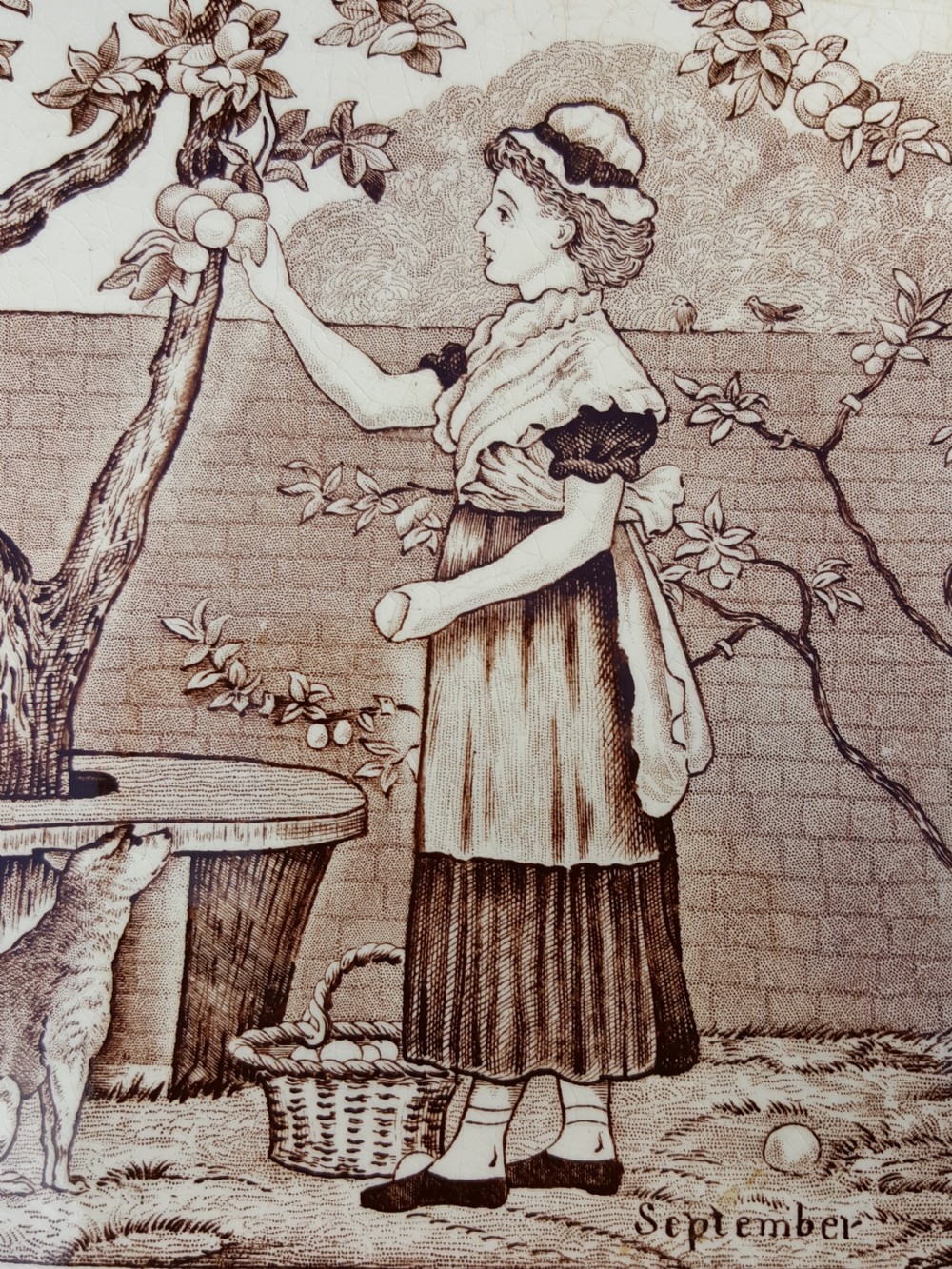 A square Victorian ceramic tile featuring a sepia transfer print of a female figure harvesting fruit under a tree with September written below, surrounded by a foliage border. View II