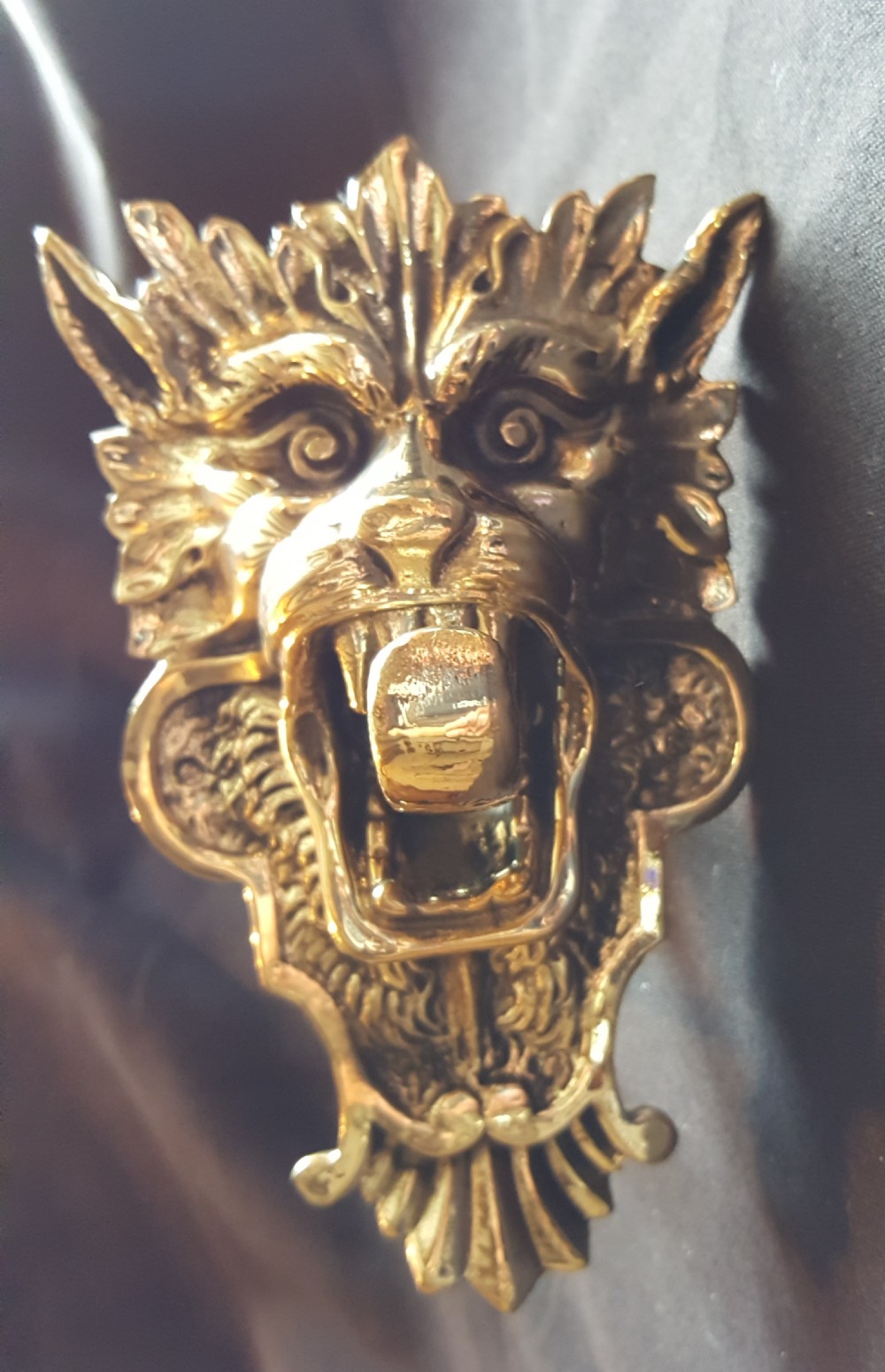 Brass Georgian Dragon Head Bell Pull.