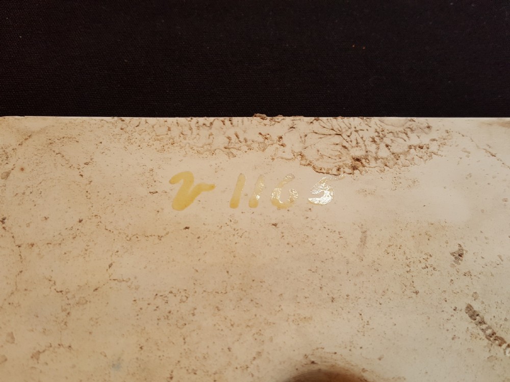 One Singular Victorian Ceramic Tile. View VIII