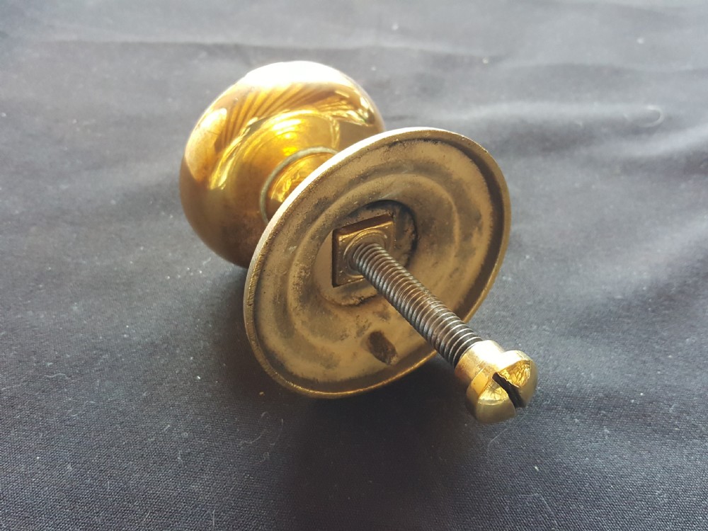A solid brass Regency centre door knob featuring a circular domed face with a rope-twist border and matching backplate. View IV