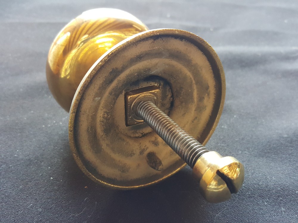A solid brass Regency centre door knob featuring a circular domed face with a rope-twist border and matching backplate. View V