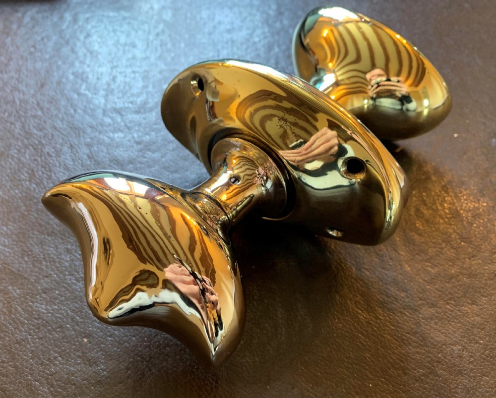 A pair of polished brass oval door knobs mounted on a spindle assembly with oval backplates.