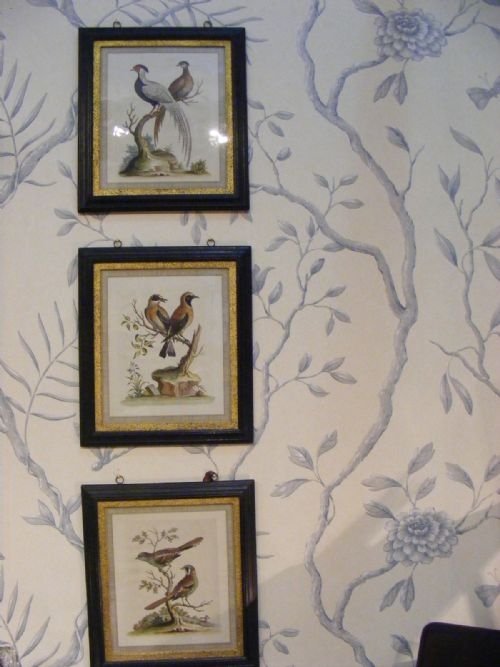 Set of Six Hand Coloured Engravings by George Edwards.