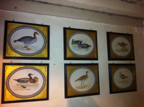 Set of Six Hand Coloured Copper Plate Engravings of British Game Birds by the Rev Beverly Morris