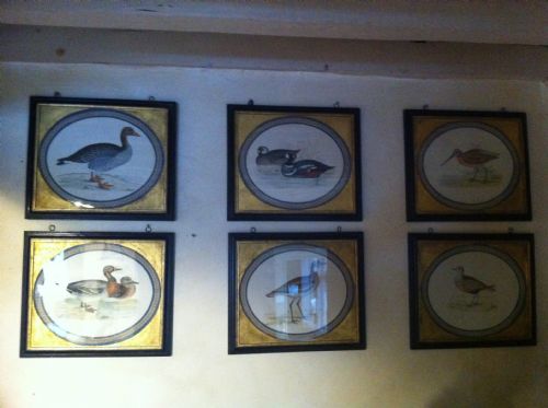 fig 1. Set of six hand coloured copper plate engravings of British Game birds by The Rev Beverly Morris