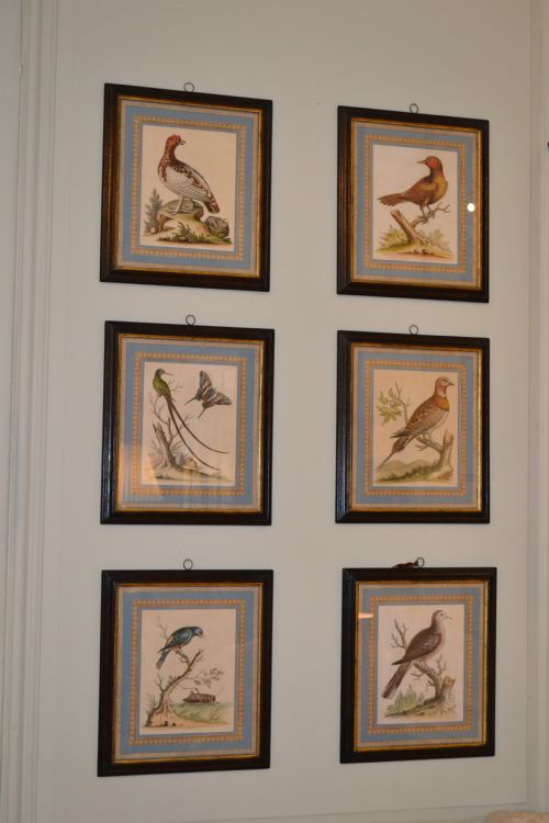 fig 1. A fine rare set of  engravings 