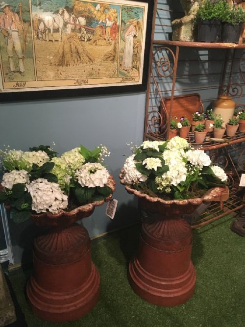 PAIR OF GEORGIAN URNS ON PLINTHS - ADDITIONAL PHOTO 1