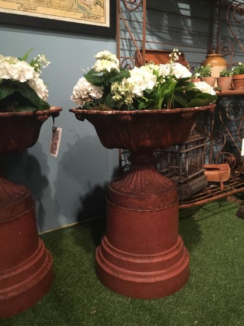 PAIR OF GEORGIAN URNS ON PLINTHS - ADDITIONAL PHOTO 2
