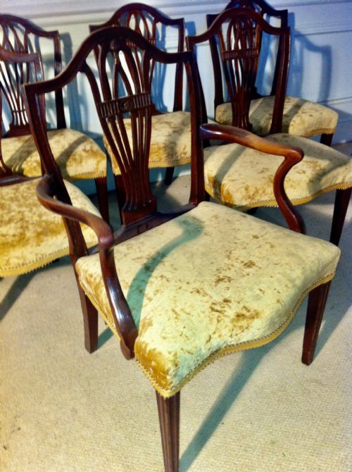SET OF 8 HEPPLEWHITE 18TH CENTURY STYLE DINING CHAIRS - ADDITIONAL PHOTO 1