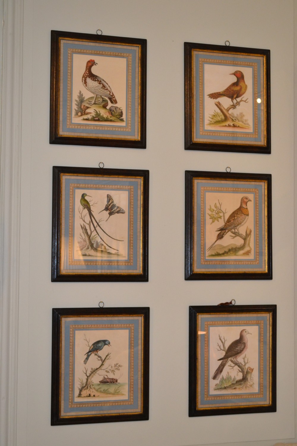 A fine rare set of  engravings 