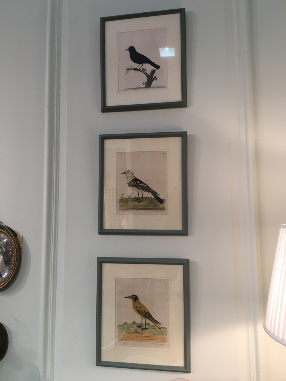 Set of six 18th Century Ornothological hand coloured etchings by Elizear Albin View V