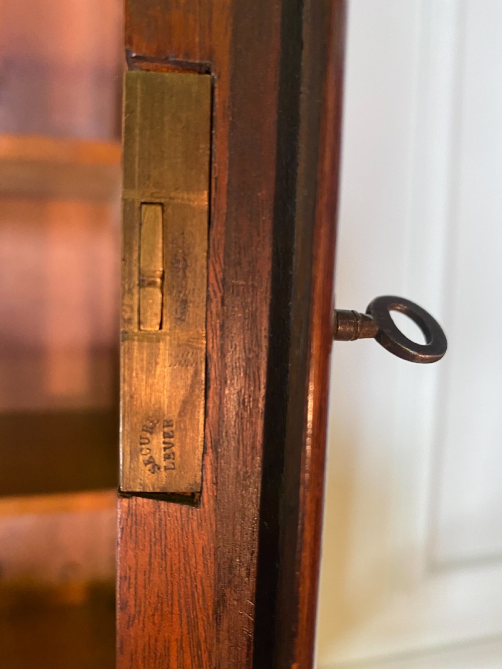 19th Century Tall narrow glazed bookcase View XII