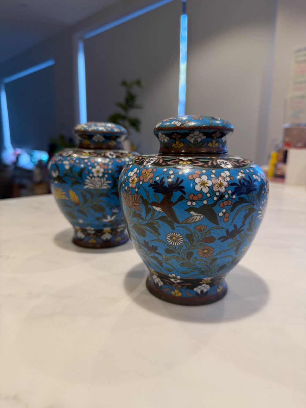 A pair of bulbous Japanese cloisonne ginger jars with lids, featuring intricate floral and bird motifs on a vibrant turquoise blue ground.