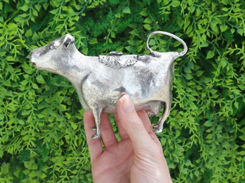fig 1. An antique sterling silver cow creamer featuring textured hide detailing, a looped tail handle, and a floral hinged lid on its back.
