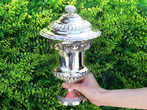 fig 1. A Victorian sterling silver presentation cup and cover decorated with a grape leaf band, resting on a round ebonised wood plinth.