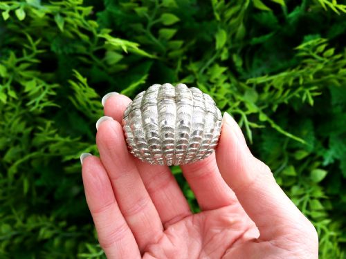 fig 1. An antique Victorian sterling silver nutmeg grater featuring a textured ribbed shell form with a hinged lid.