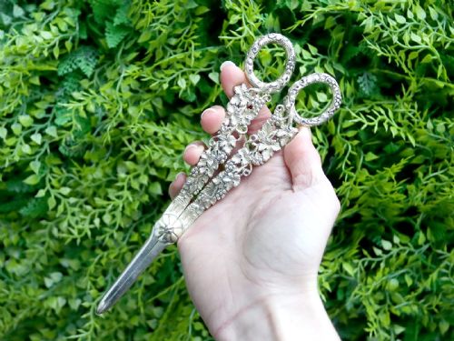 fig 1. A pair of Victorian sterling silver gilt grape shears featuring cast grapevine and leaf motifs along the handles.