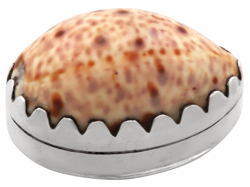 A Georgian sterling silver vinaigrette featuring a natural spotted cowrie shell set into a saw-tooth silver mount.