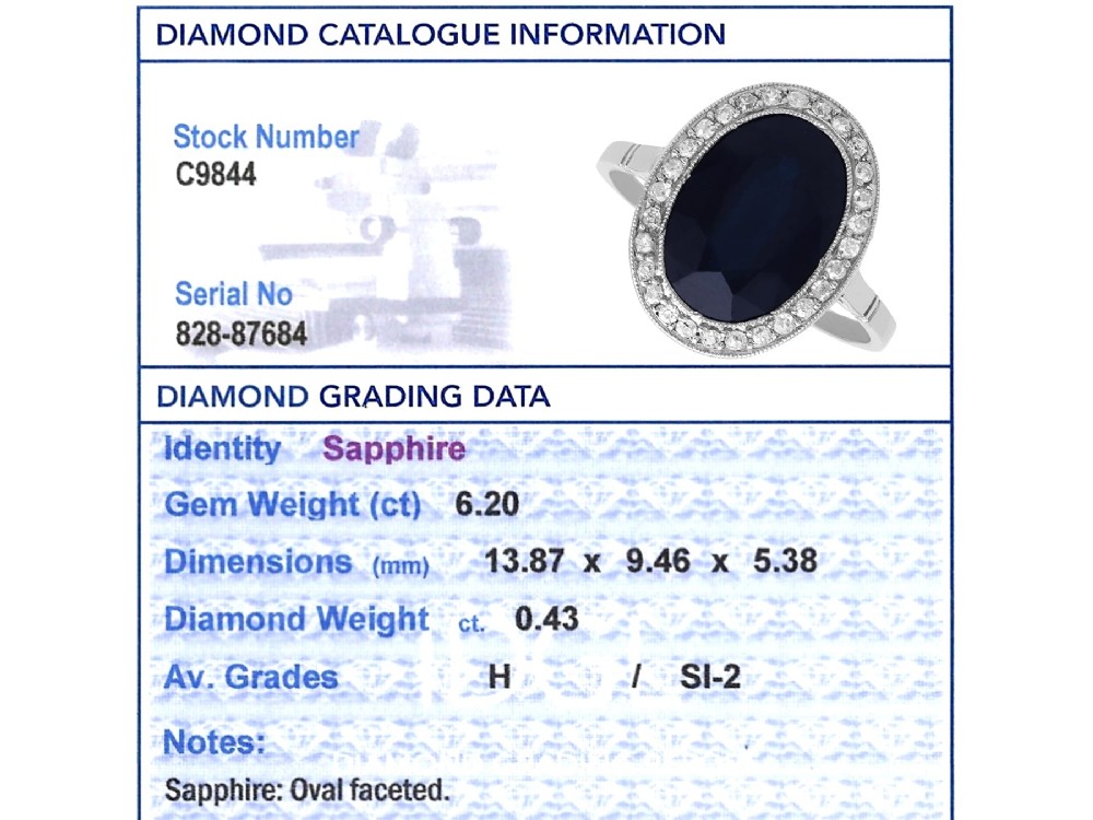 Antique French 6.20ct Sapphire and 0.43ct Diamond Platinum Cluster Ring Circa 1920 View XI