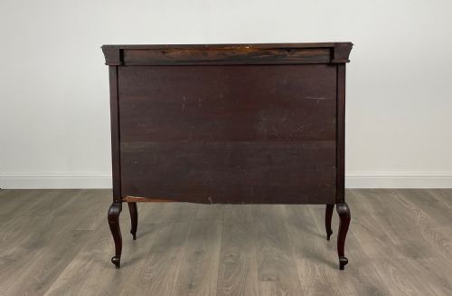 ANTIQUE 19TH CENTURY DISPLAY CABINET IN MAHOGANY - ADDITIONAL PHOTO 4