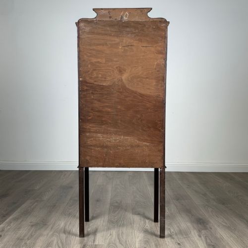 ANTIQUE LATE 19TH CENTURY DISPLAY CABINET IN MAHOGANY - ADDITIONAL PHOTO 5