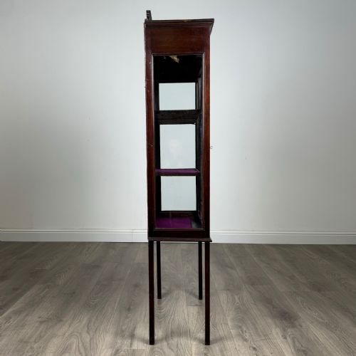 ANTIQUE LATE 19TH CENTURY DISPLAY CABINET IN MAHOGANY - ADDITIONAL PHOTO 7
