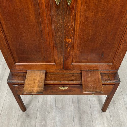 ANTIQUE 18TH CENTURY FINE QUALITY CUPBOARD ON STAND IN OAK - ADDITIONAL PHOTO 9