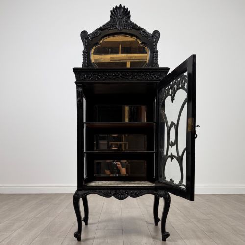 ANTIQUE 19TH CENTURY GOOD QUALITY EBONISED DISPLAY CABINET - ADDITIONAL PHOTO 1