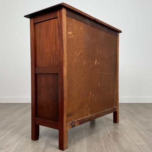 ANTIQUE 20TH CENTURY GOOD QUALITY CUPBOARD IN MAHOGANY - ADDITIONAL PHOTO 4