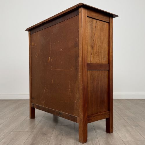 ANTIQUE 20TH CENTURY GOOD QUALITY CUPBOARD IN MAHOGANY - ADDITIONAL PHOTO 6