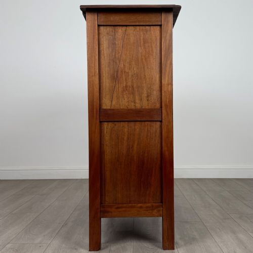 ANTIQUE 20TH CENTURY GOOD QUALITY CUPBOARD IN MAHOGANY - ADDITIONAL PHOTO 7
