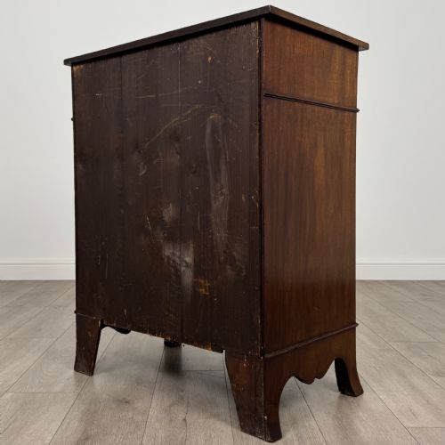 ANTIQUE 19TH CENTURY SERPENTINE CUPBOARD IN MAHOGANY - ADDITIONAL PHOTO 6