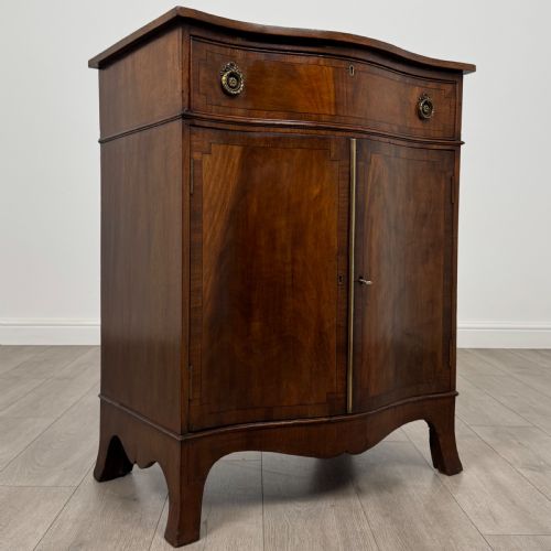 ANTIQUE 19TH CENTURY SERPENTINE CUPBOARD IN MAHOGANY - ADDITIONAL PHOTO 8