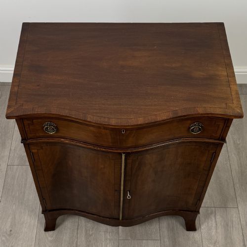 ANTIQUE 19TH CENTURY SERPENTINE CUPBOARD IN MAHOGANY - ADDITIONAL PHOTO 9