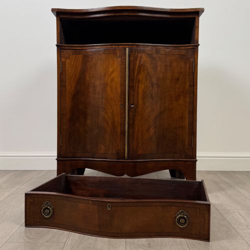 ANTIQUE 19TH CENTURY SERPENTINE CUPBOARD IN MAHOGANY - ADDITIONAL PHOTO 10