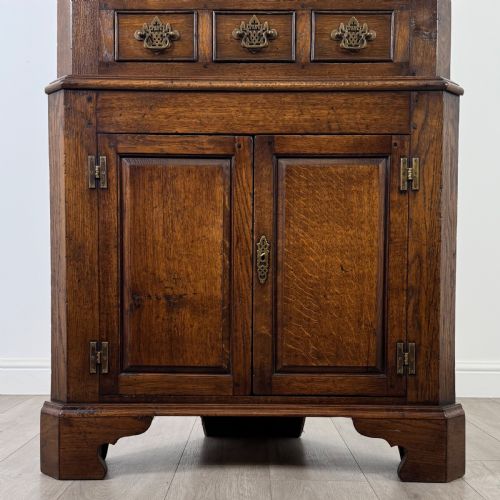 ANTIQUE 20TH CENTURY FINE QUALITY CORNER CABINET IN OAK - ADDITIONAL PHOTO 4
