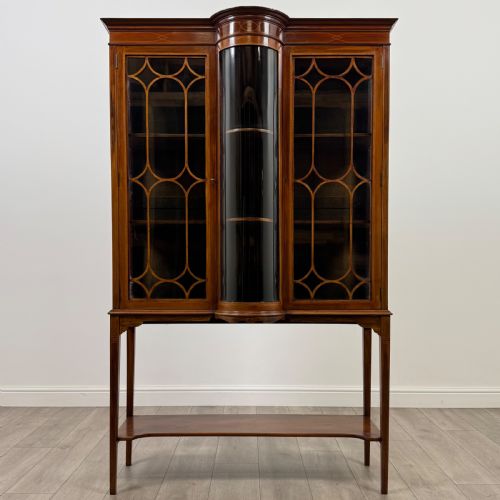 ANTIQUE 20TH CENTURY FINE QUALITY GLAZED DISPLAY CABINET REF AF4416 - ADDITIONAL PHOTO 1