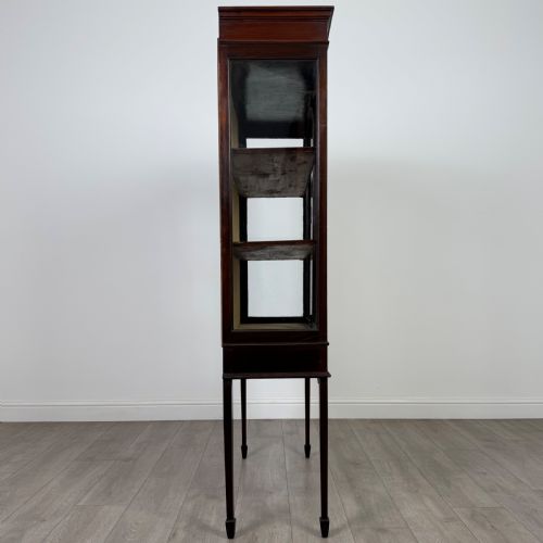 ANTIQUE 20TH CENTURY INLAID DISPLAY CABINET IN MAHOGANY - ADDITIONAL PHOTO 8