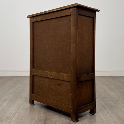 ANTIQUE 20TH CENTURY GOOD QUALITY SMALL OAK CABINET - ADDITIONAL PHOTO 6